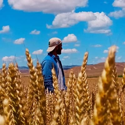 HseyinSmak1's profile picture. Siverek SYDV