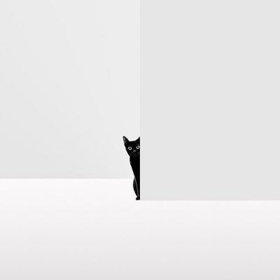 BaiFalter's profile picture. 