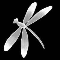 Tonbo Ramen (@tonboramen) 's Twitter Profile