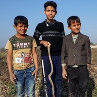 مخلص الازيرجاوي (@sawtaahaq) Twitter profile photo