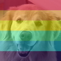 Venk's Soft Ears (@venksoftears) 's Twitter Profile