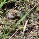 Eric Short - @eshort901 - Twitter