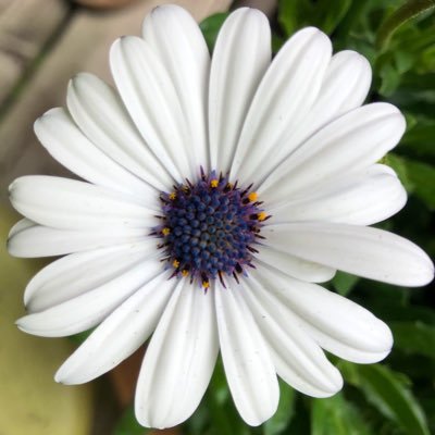 RiglerSarah's profile picture. 