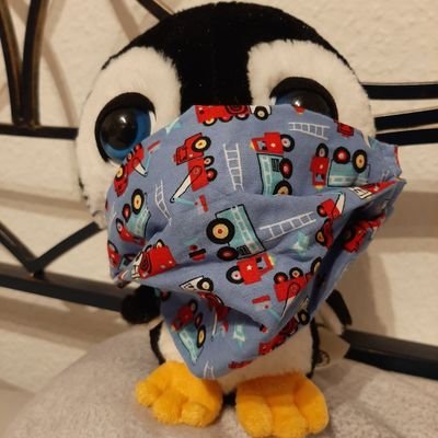 Mensch_Pinguin Profile Picture