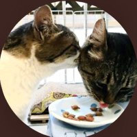 こむぎ (@gabu_kobu) 's Twitter Profile Photo こむぎ (@gabu_kobu) 's Twitter Profile Photo