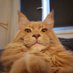 Bashy - Benjamin Phạm-Bachelart (@bashyb) Twitter profile photo Bashy - Benjamin Phạm-Bachelart (@bashyb) Twitter profile photo