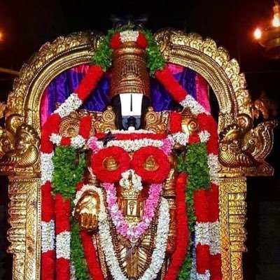 kumarngp1's profile picture. 