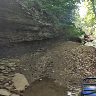 SteveStrauser's profile picture. 