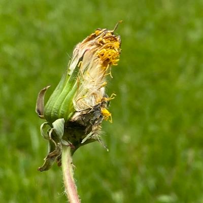 BOH12536521's profile picture. 