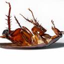 John Prochazka - @uniqueonealso - Twitter