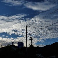 伊豆の穴カサゴ (@arwaugekodumhbd) Twitter profile photo