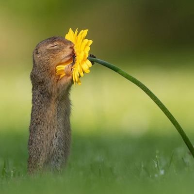 lectronLibre9's profile picture. si l'aveugle conduit l'aveugle, ils marchent vers la chute...🤫JC