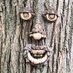 Tree_Ease (@ease_tree) Twitter profile photo
