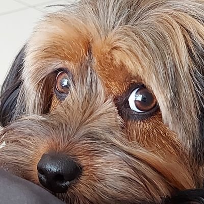 tecajanone's profile picture. Fotografia📸💘

💛💚   
📣📣Parler @Tecajanone