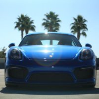 Nelson (@n_webster15) 's Twitter Profile