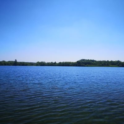 MayaUmmeAdam's profile picture. #WalkAllOverCancer