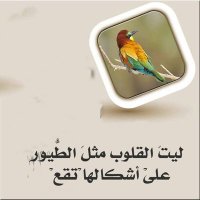 ابويزن (@fazvswfvjqrqugq) Twitter profile photo