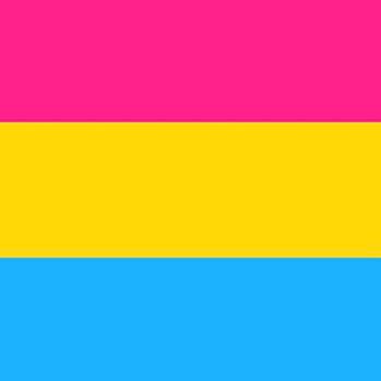 Pan_Flag's profile picture. Educating people on pansexual and panromantic issues and spreading pan positivity!