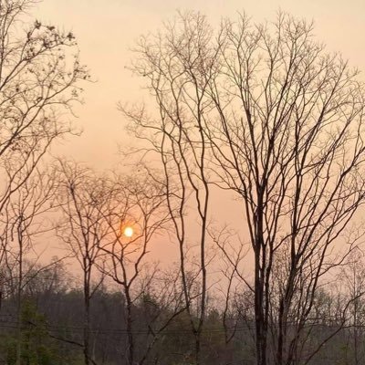 jombay10's profile picture. 