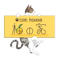 Cat house 柚の家 (@yuzu_kitty16) 's Twitter Profile Photo