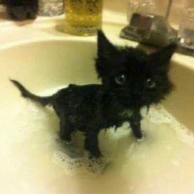 gayballsandnuts's profile picture. 19