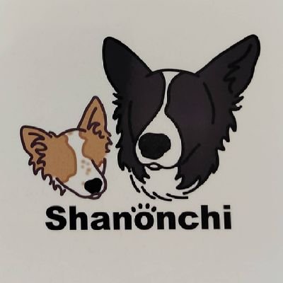 那須高原にあるペットのためのペンション。
遊びに来てくれたお友達を紹介します♪
看板犬　
しゃのん（ボーダーコリーBW♀2012.6.27）
　　　　るちあ （ボーダーコリーRW♀2019.11.24