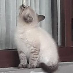 Diivision6's profile picture. 