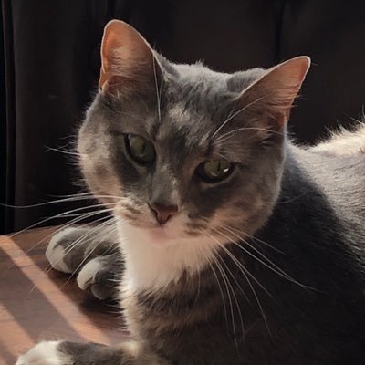 jennlyn328's profile picture. Love’s the only rule! ✌🏻❤️