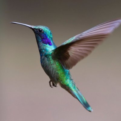 enamul36175367's profile picture. enamul
PHP automobiles limited
+8801885555100