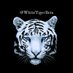 White Tiger Bets (@whitetigerbets) Twitter profile photo White Tiger Bets (@whitetigerbets) Twitter profile photo