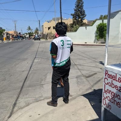 FredyAbarca12's profile picture. ver videos