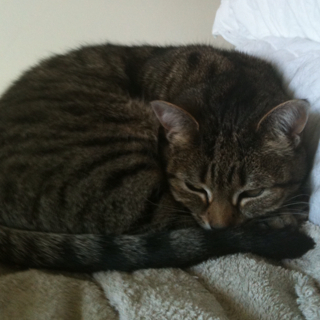 DympaDo's profile picture. stay at home pussy