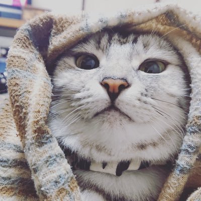 わったーさんのプロフィール画像