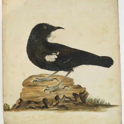 Catherine Hammondさんのプロフィール画像