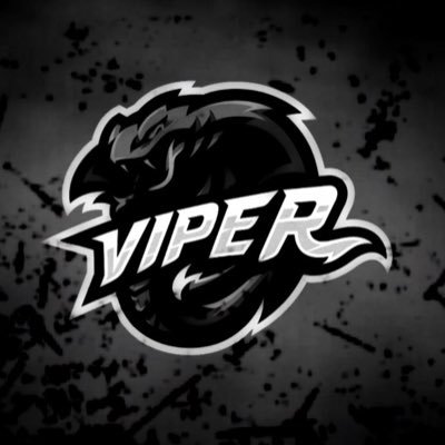 ViperBundles's profile picture. Not owned by Viper, made by @shypothoughts