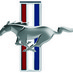 pam shewan (@daytonamustang) Twitter profile photo pam shewan (@daytonamustang) Twitter profile photo