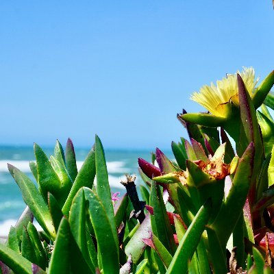 2woke2function's profile picture. Ich will die Welt verändern - gerne zum Besseren!
Woke, broke, bodenständig.