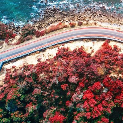 Abbas9Ramy's profile picture. 