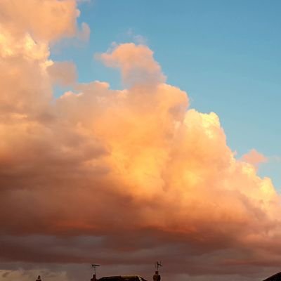 DaveyS1980's profile picture. always asking questions