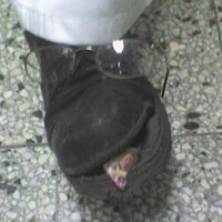 Más boludo que Spotorno no se consigue! (@i_guacho) 's Twitter Profile