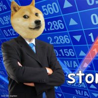 side hustles to buy doge! (@sidedoge) 's Twitter Profile