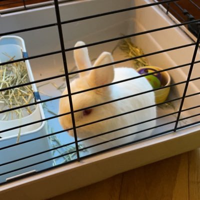 rrz56114987's profile picture. ⭐️巨乳星人 ⭐️/ 🍒Big Boobs, 🎬JAV and 👙Cosplayer Lover. My following and repost are my favorites. Please check out my following list and reposts!