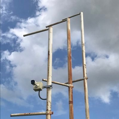 saoaretid's profile picture. 