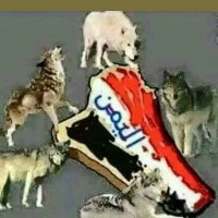 الراعي. 𐩱𐩡𐩧𐩱𐩲𐩺 YFEA 047-418 (@ablb79q) 's Twitter Profile
