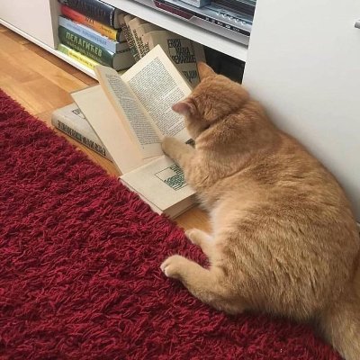 R00KiEee's profile picture. 그럴 수도 있지