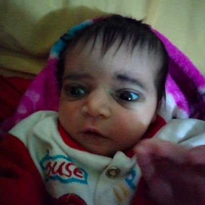 6FYfA6SqpcbJcDd's profile picture. 