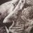 lingfordm's profile image