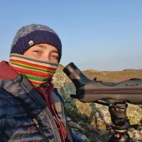 Josie Hewitt (@josiethebirder) 's Twitter Profile