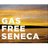 Gas Free Seneca