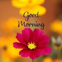Abdul Wakeel Rajpoot (@abdulwakeelraj1) 's Twitter Profile